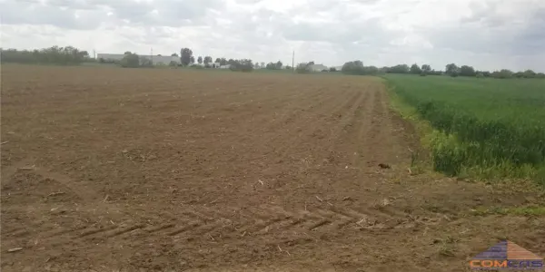 Teren Satu Mare - poza 3