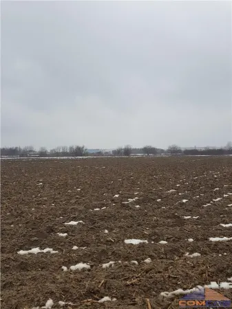 Teren Satu Mare - poza 5