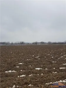 Teren Satu Mare - poza 5
