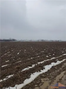 Teren Satu Mare - poza 6