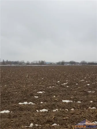 Teren Satu Mare - poza 7
