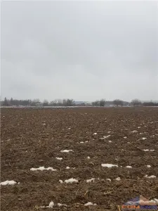 Teren Satu Mare - poza 7