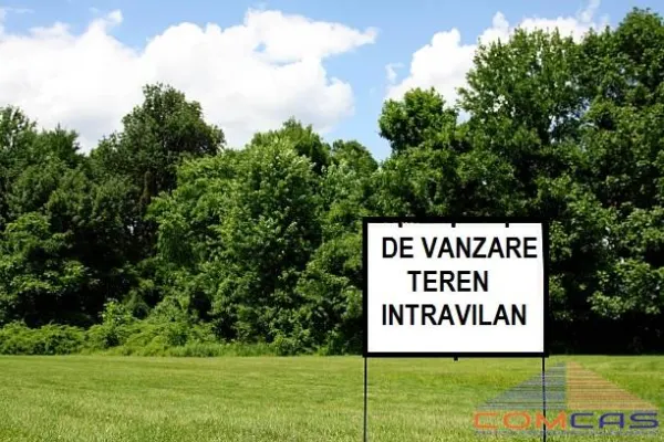 Teren Viile Satu Mare - poza 1