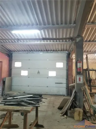 Spațiu industrial Vetis - poza 5
