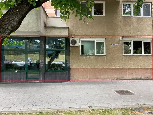 Birou Satu Mare - poza 1
