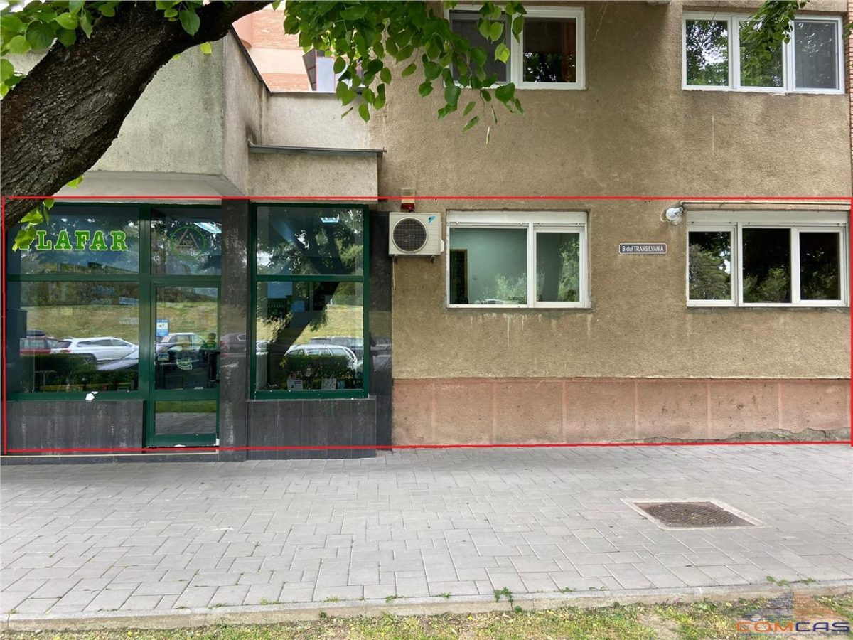 Spatiu Comercial Bulevardul Transilvania - 100 MP - Satu Mare