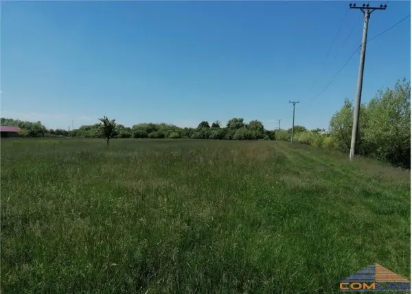 Teren Satu Mare - poza 1
