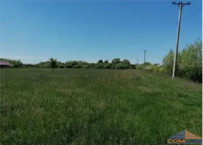 Teren Satu Mare - 40 ARI - foto 1