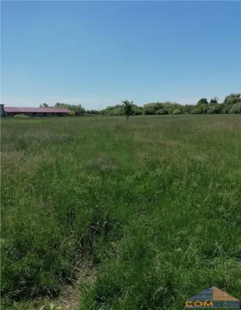 Teren Satu Mare - poza 3