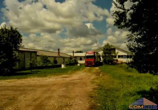 Spațiu industrial Mediesu Aurit - poza 3