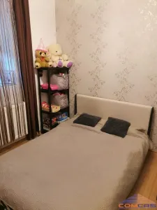 Casă 4 camere Satu Mare - poza 4