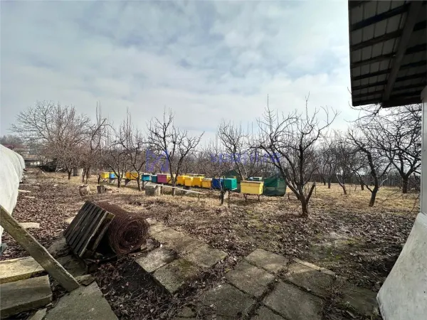 Spațiu industrial Dumesti - poza 11