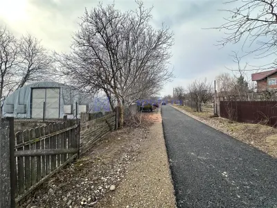 Hala/ cort ciupercarie, 400mp, Dumesti - foto 6