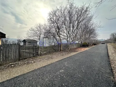 Hala/ cort ciupercarie, 400mp, Dumesti - foto 7