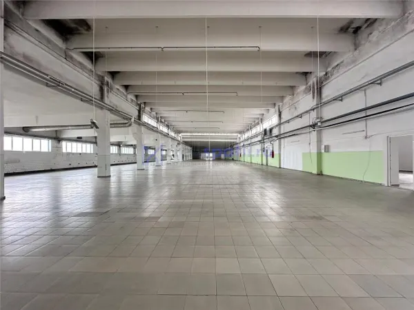 Spațiu industrial Pașcani - poza 2
