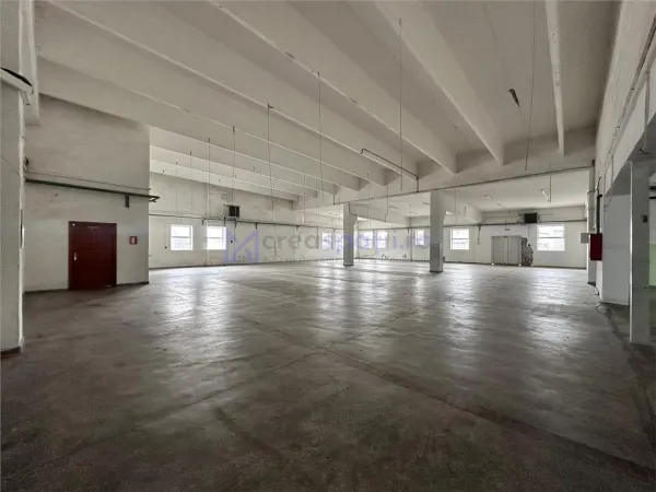 Spațiu industrial Pașcani - poza 12