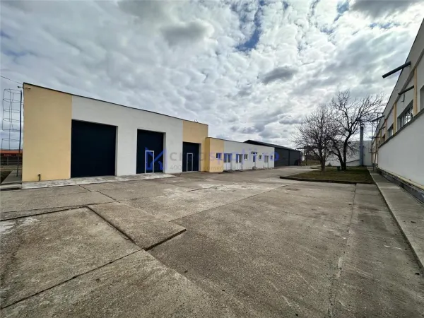 Spațiu industrial Pașcani - poza 3