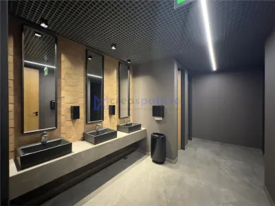 Spatii birouri semicentru, Podul de Piatra, Noc, de la 40mp la 1000mp - foto 13