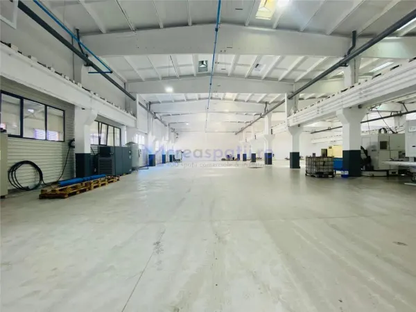 Spațiu industrial Iași - poza 11