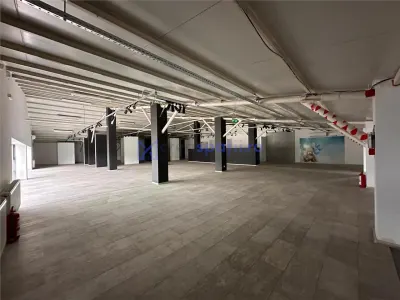 Hala, showroom sos. Pacurari Iasi, zona Mall Moldova, 1310mp - foto 19