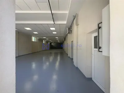 Hale Valea Lupului, zona Antibiotice, de la 334mp la 1000mp - foto 13