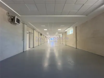 Hale Valea Lupului, zona Antibiotice, de la 334mp la 1000mp - foto 15