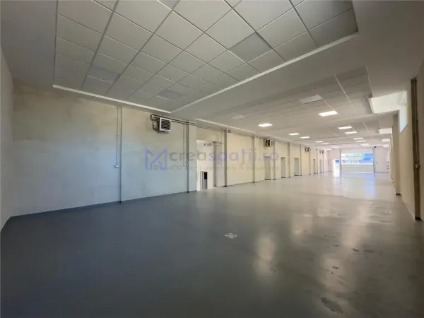 Spațiu industrial Iași - poza 6