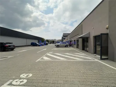 Spatii depozitare, productie, Calea Chisinaului, de la 74mp la 2000mp - foto 8