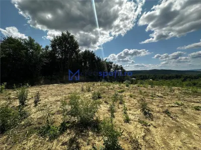 Teren langa Padurea Barnova, loc. Pietraria, 874mp - foto 3