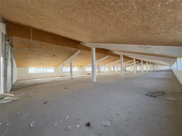 Spațiu industrial Ciohorani - poza 2