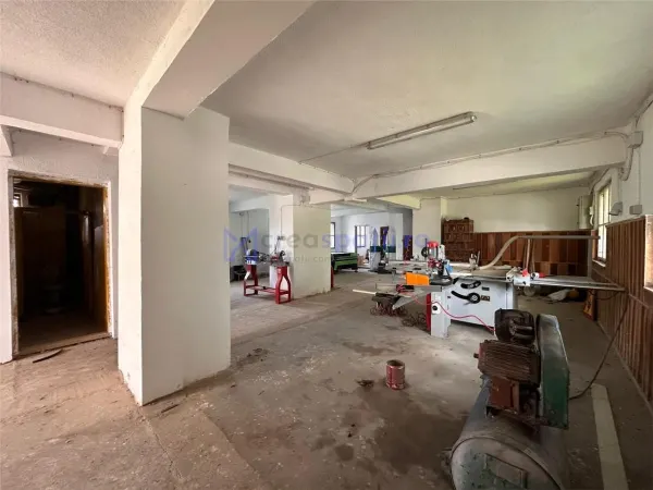 Spațiu comercial Harlau - poza 2