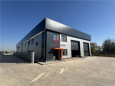 Vanzare depozit/hala/spatiu industrial Chitila - Centura - Rudeni - foto 2