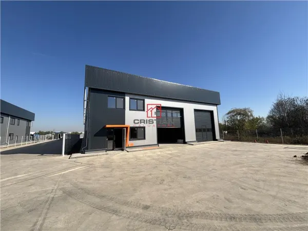 Spațiu industrial Chitila - poza 4
