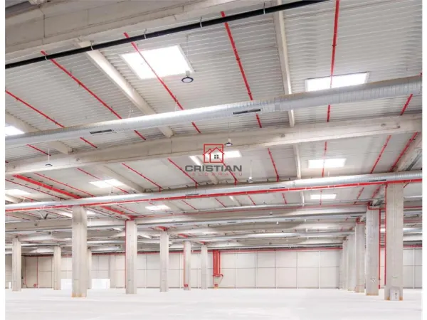 Spațiu industrial Ștefăneștii de Jos - poza 3