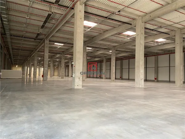 Spațiu industrial Chitila - poza 12
