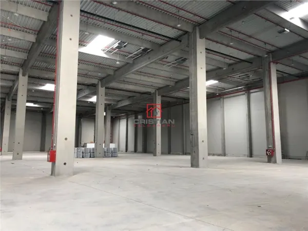 Spațiu industrial Bolintin-Deal - poza 1