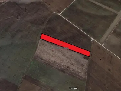 Vanzare teren Chitila - Dragomiresti Vale - Padurii, Ilfov - foto 2