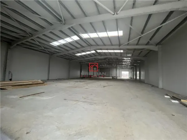 Spațiu industrial Chiajna - poza 4