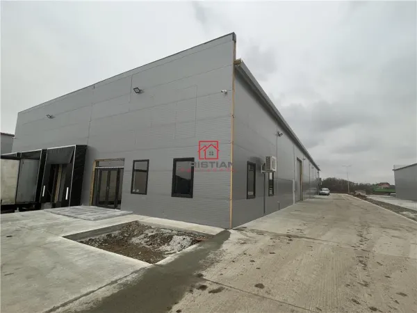 Spațiu industrial Chiajna - poza 9