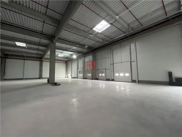 Spațiu industrial Ștefăneștii de Jos - poza 13