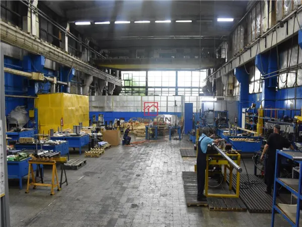 Spațiu industrial București - poza 6