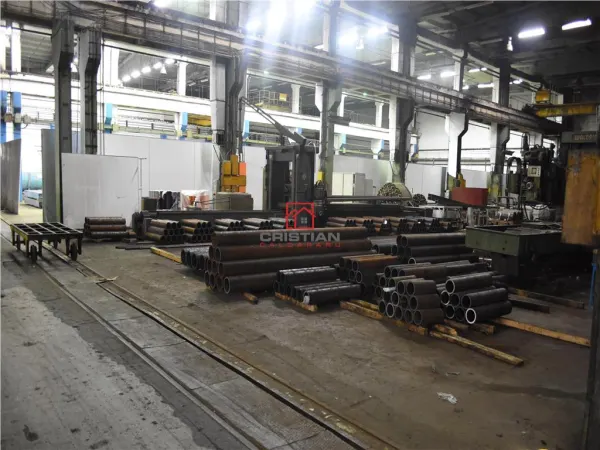 Spațiu industrial București - poza 7