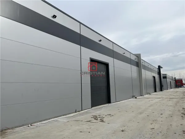 Spațiu industrial Popești-Leordeni - poza 12