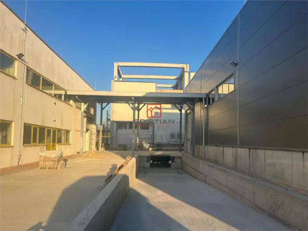 Spațiu industrial Bolintin-Deal - poza 7
