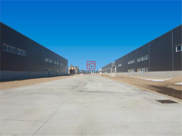 Spațiu industrial Bolintin-Deal - poza 2