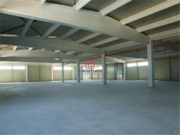 Spațiu industrial Bolintin-Deal - poza 12