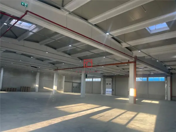 Spațiu industrial Bolintin-Deal - poza 3