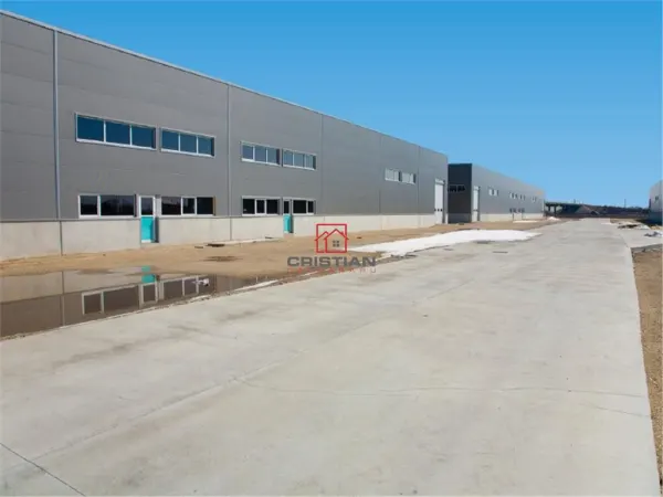 Spațiu industrial Bolintin-Deal - poza 4