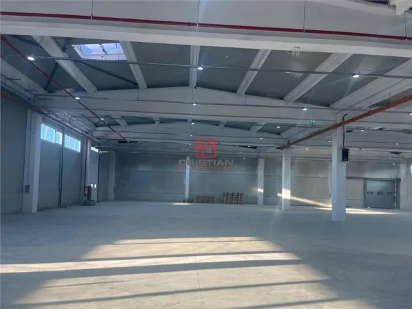 Spațiu industrial Bolintin-Deal - poza 5