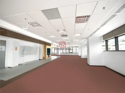 Inchiriere birouri Piata Muncii - Decebal - Mihai Bravu, Bucuresti - foto 2